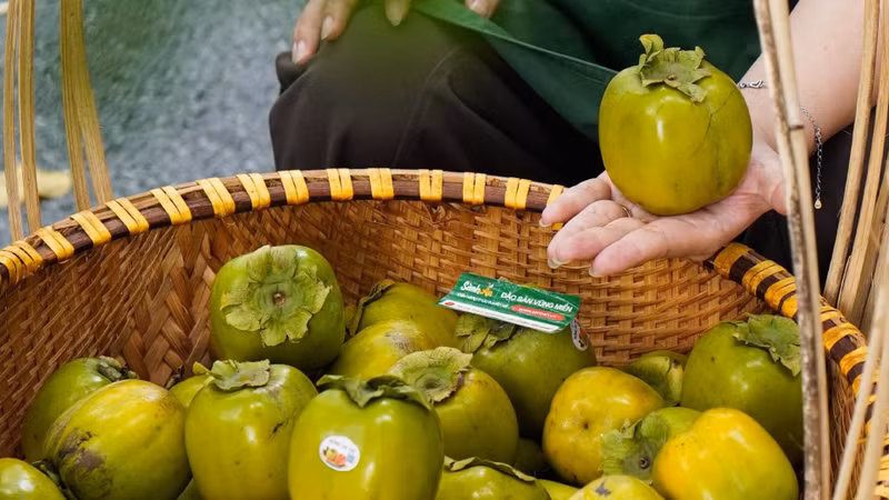 Sốt giá hồng da tre mùa thu, đặc sản miền núi Thái Nguyên hút khách