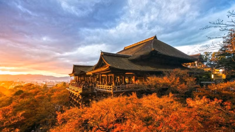 Khách Việt nhộn nhịp săn tour xuất ngoại ngắm lá đổi màu