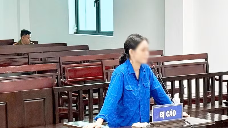 “Cò đất” chiếm đoạt gần 1,4 tỷ đồng lĩnh 12 năm tù giam
