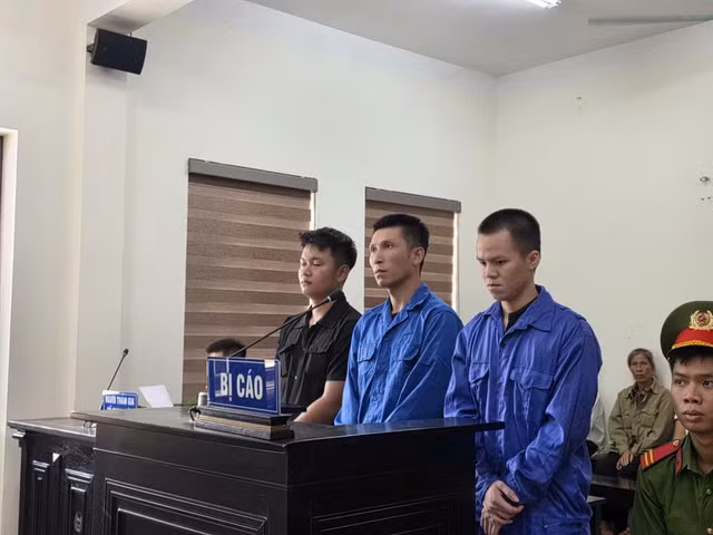 imagesthumbd8dca547-117e-41cf-b19e-aca5125bbf6b.jpg