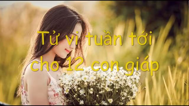 Tử vi tuần mới 12 con giáp từ 8 đến 14/7: Tuổi này bạc tiền đầy túi, tiêu xài xả láng - Hình 3 Tu vi tuan moi 12 con giap tu 8 den 14/7: Tuoi nay bac tien day tui, tieu xai xa lang-Hinh-3