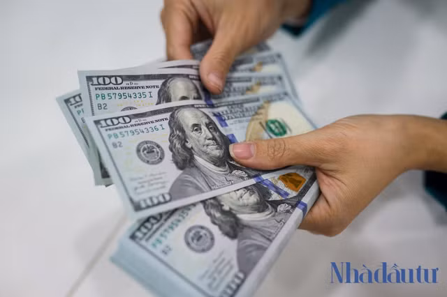 Nhiều doanh nghiệp có lợi nhuận giảm sâu vì tỷ giá - Hình 7 Nhieu doanh nghiep co loi nhuan giam sau vi ty gia-Hinh-7