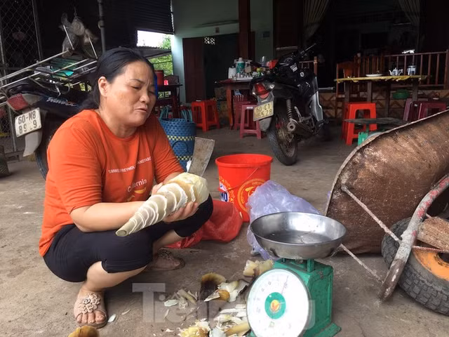 Cận cảnh khu đất hơn 1,8 nghìn ha đang thu hồi làm sân bay Long Thành - Hình 22 Can canh khu dat hon 1,8 nghin ha dang thu hoi lam san bay Long Thanh-Hinh-22