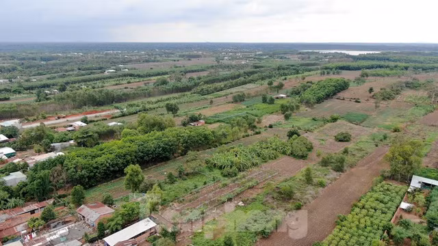 Cận cảnh khu đất hơn 1,8 nghìn ha đang thu hồi làm sân bay Long Thành - Hình 18 Can canh khu dat hon 1,8 nghin ha dang thu hoi lam san bay Long Thanh-Hinh-18