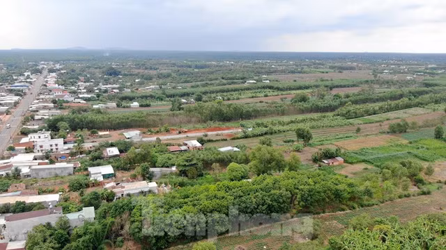 Cận cảnh khu đất hơn 1,8 nghìn ha đang thu hồi làm sân bay Long Thành - Hình 19 Can canh khu dat hon 1,8 nghin ha dang thu hoi lam san bay Long Thanh-Hinh-19