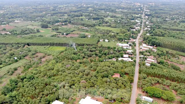 Cận cảnh khu đất hơn 1,8 nghìn ha đang thu hồi làm sân bay Long Thành - Hình 16 Can canh khu dat hon 1,8 nghin ha dang thu hoi lam san bay Long Thanh-Hinh-16
