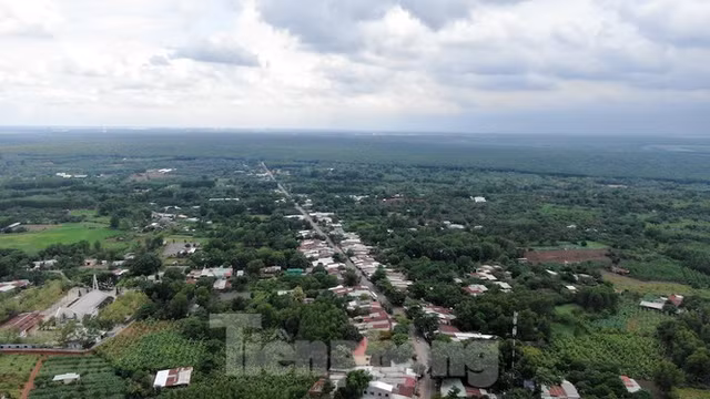 Cận cảnh khu đất hơn 1,8 nghìn ha đang thu hồi làm sân bay Long Thành - Hình 7 Can canh khu dat hon 1,8 nghin ha dang thu hoi lam san bay Long Thanh-Hinh-7