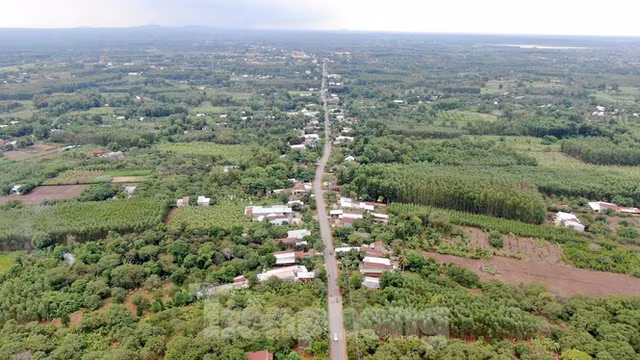 Cận cảnh khu đất hơn 1,8 nghìn ha đang thu hồi làm sân bay Long Thành - Hình 9 Can canh khu dat hon 1,8 nghin ha dang thu hoi lam san bay Long Thanh-Hinh-9