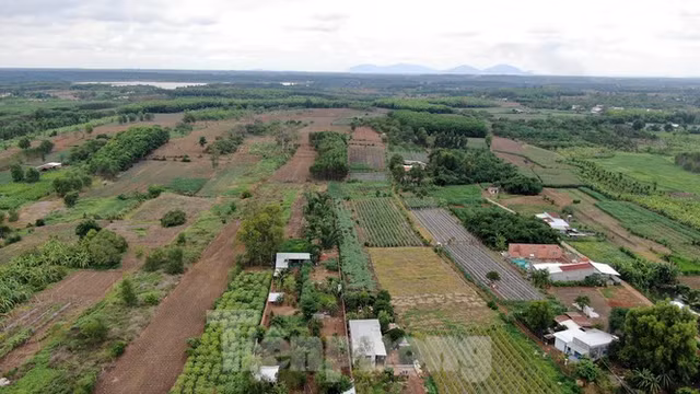 Cận cảnh khu đất hơn 1,8 nghìn ha đang thu hồi làm sân bay Long Thành - Hình 17 Can canh khu dat hon 1,8 nghin ha dang thu hoi lam san bay Long Thanh-Hinh-17