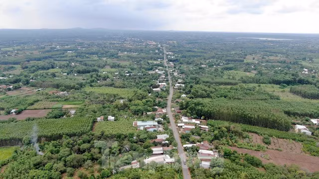 Cận cảnh khu đất hơn 1,8 nghìn ha đang thu hồi làm sân bay Long Thành - Hình 6 Can canh khu dat hon 1,8 nghin ha dang thu hoi lam san bay Long Thanh-Hinh-6