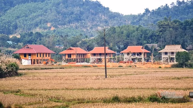 Can canh nhung ngoi nha xay trai phep trai phep tren dat trong lua o Thanh Hoa-Hinh-9