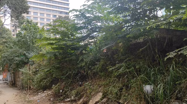 Cận cảnh khu 'đất vàng' hơn 6.000 m2 rơi vào tay tư nhân ở TPHCM - Hình 5 Can canh khu 'dat vang' hon 6.000 m2 roi vao tay tu nhan o TPHCM-Hinh-5