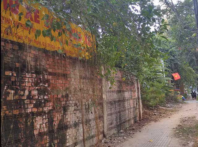 Cận cảnh khu 'đất vàng' hơn 6.000 m2 rơi vào tay tư nhân ở TPHCM - Hình 6 Can canh khu 'dat vang' hon 6.000 m2 roi vao tay tu nhan o TPHCM-Hinh-6