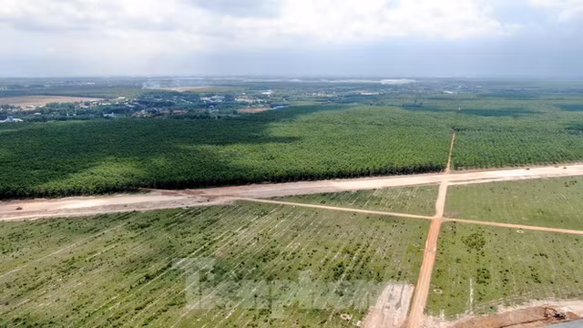 Can canh khu tai dinh cu san bay Long Thanh rong 280ha-Hinh-16