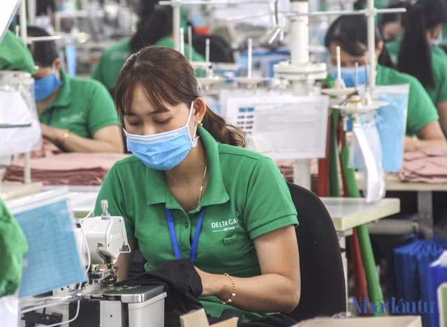 Bình Định thưởng Tết cao nhất 250 triệu, thấp nhất 50 nghìn đồng Binh Dinh thuong Tet cao nhat 250 trieu, thap nhat 50 nghin dong
