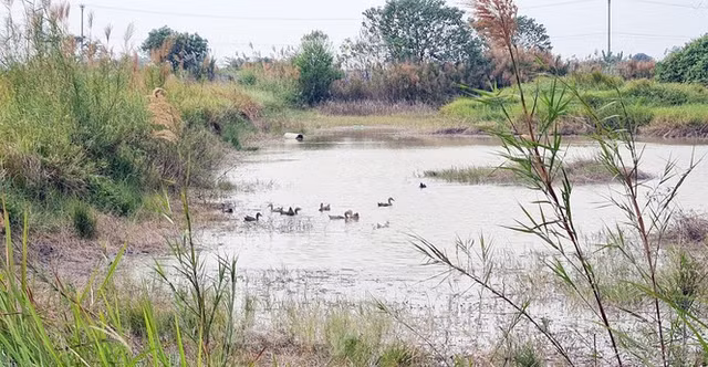Cuoi nam, 'co dat' thi nhau thoi gia loat du an 'dap chieu' phia Tay Ha Noi-Hinh-3