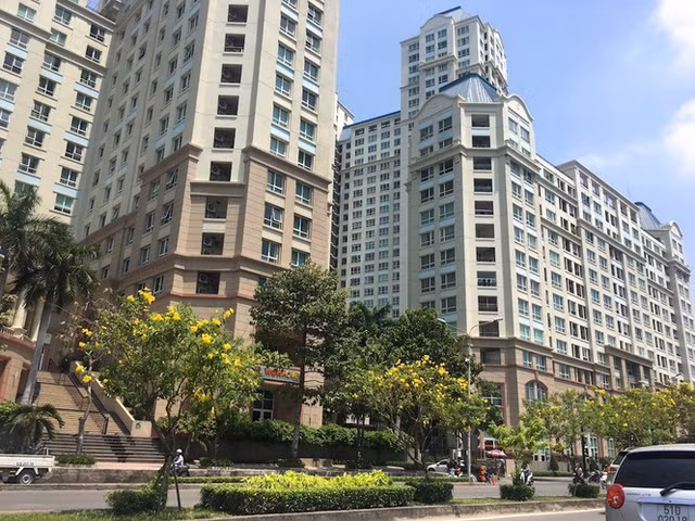 'Rung chung cu' de nang con duong chi 3km o Sai Gon-Hinh-19