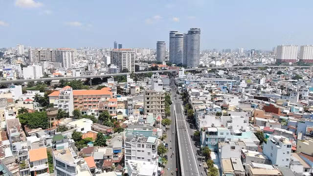 'Rung chung cu' de nang con duong chi 3km o Sai Gon-Hinh-21