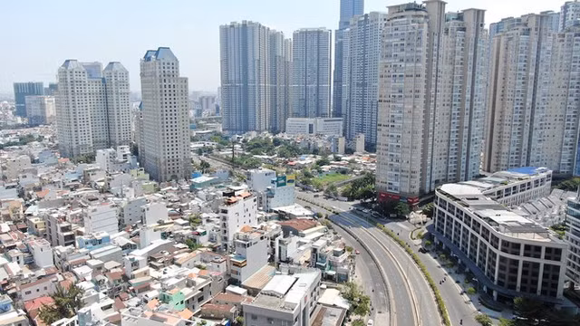 'Rung chung cu' de nang con duong chi 3km o Sai Gon-Hinh-7