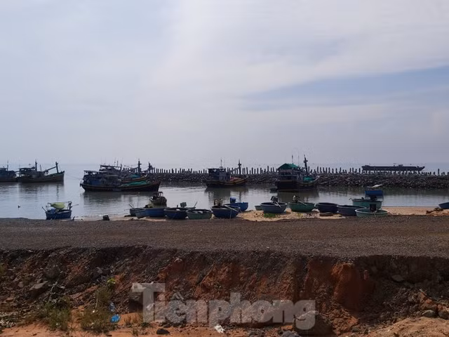 Bên trong siêu dự án 123ha ở Bình Thuận được giao đất 'thần tốc' - Hình 13 Ben trong sieu du an 123ha o Binh Thuan duoc giao dat 'than toc'-Hinh-13