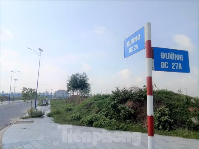 Du an nha o Dai Nam tung muon hien 127 lo dat nhung khong ai nhan gio ra sao?-Hinh-9