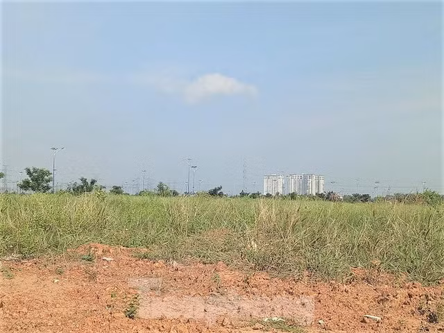 Du an nha o Dai Nam tung muon hien 127 lo dat nhung khong ai nhan gio ra sao?-Hinh-6