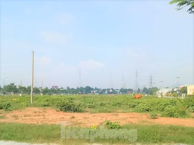 Du an nha o Dai Nam tung muon hien 127 lo dat nhung khong ai nhan gio ra sao?-Hinh-4