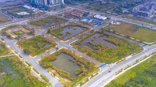 Phiên đấu giá đất tỷ đô ở Thủ Thiêm: Tương lai thị trường bất động sản TP HCM ra sao? Phien dau gia dat ty do o Thu Thiem: Tuong lai thi truong bat dong san TP HCM ra sao?