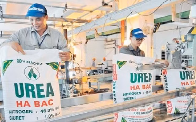 Sai phạm tại Công ty Đạm Hà Bắc, Thanh tra Chính phủ kiến nghị xử lý Sai pham tai Cong ty Dam Ha Bac, Thanh tra Chinh phu kien nghi xu ly