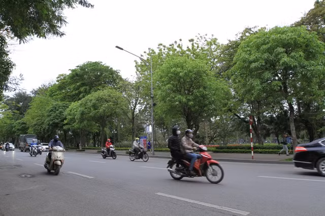 Xử phạt người vi phạm lệnh 'hạn chế ra đường' thế nào?: Đây là 13 hành vi bị xử phạt Xu phat nguoi vi pham lenh 'han che ra duong' the nao?: Day la 13 hanh vi bi xu phat