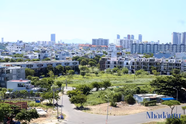 Chi tiết các chính sách nổi bật có hiệu lực từ tháng 8/2024 - Hình 10 Chi tiet cac chinh sach noi bat co hieu luc tu thang 8/2024-Hinh-10