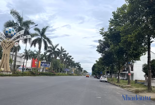 Nghe An bao cao ket qua ra soat du an&nbsp;lien quan Cong ty cay xanh Cong Minh-Hinh-2