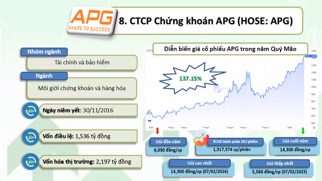 10 co phieu tang bang lan nam Quy Mao 2023-Hinh-9