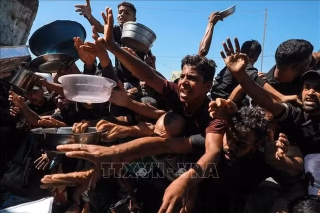 gaza-9231.jpg