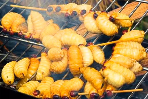 Đuông dừa nướng được coi là món dễ ăn nhất. Đuông được chọn là những con béo tròn, xâu vào các que tre vót nhọn, đem nướng trên lửa than, có thể phết chút bơ lên cho thơm. Lửa than phải để nhỏ thôi, nướng chậm đến khi chín vàng rồi gỡ ra. Ăn đuông nướng với các loại rau, chấm mắm me chua ngọt là cách ăn phổ biến của người miền Tây.