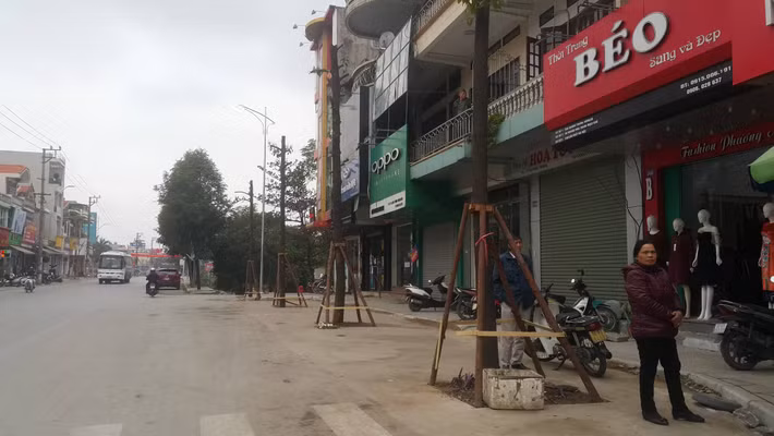 Thậm chí khu vực tránh xe cũng đã được trồng cây ngay dưới lòng đường.