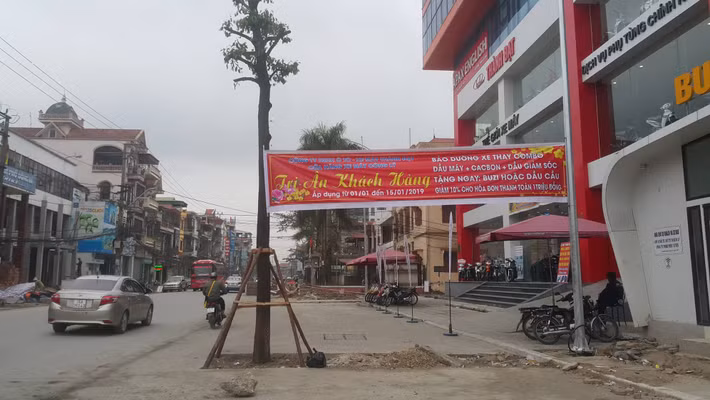 Và cây xanh đã mọc lên khiến nhiều người dân khó hiểu.