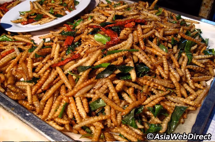 Thậm chí nhiều người còn rùng rợn và nôn tháo khi đưa những con gián chiên giòm rụm hay con sâu béo tròn mũm mĩm vào miệng. Tuy nhiên, với sự tò mò cùng hương vị hấp dẫn, ăn thử và cuối cùng là bị mê hoặc, nhất là nam giới.