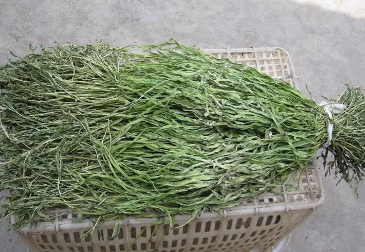 Rau tiến vua được cho rằng có giá trị dinh dưỡng cao, thường xuyên ăn rau cần biển sẽ giúp làm dịu các dây thần kinh, dạ dày khỏe hơn, giảm mỡ máu...
