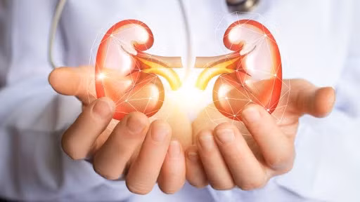 Vì vậy, nếu gần đây lượng nước uống không thay đổi mà lượng nước tiểu giảm rõ rệt thì cần đến bệnh viện khám chức năng thận kịp thời để loại trừ nguy cơ nhiễm độc niệu.