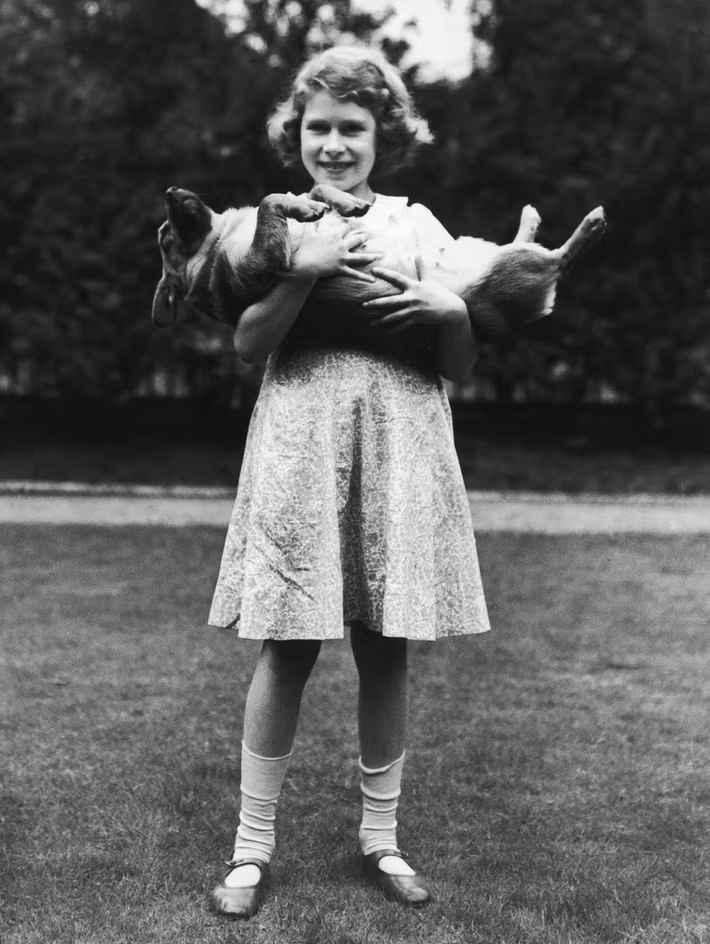 Ngoài cưỡi ngựa, công chúa Elizabeth rất thích vui đùa bên con chó corgi đáng yêu năm 1936.