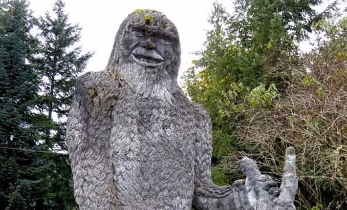 Trước giả thuyết này, không ít người vẫn tin rằng quái vật Bigfoot có thật. Sinh vật này thường di chuyển, thay đổi chỗ ở và rất thông minh nên rất khó bị con người bắt. Vì vậy, họ tiếp tục tìm kiếm những bằng chứng để chứng minh sự tồn tại của quái vật chân to dù gặp nhiều khó khăn.