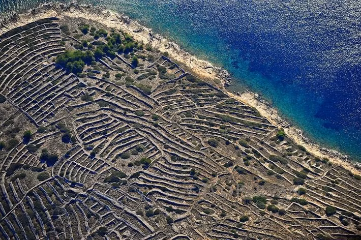 Ủy ban Du lịch Quốc gia Croatia cho hay những người nông dân trên đảo Kaprije gần đó từng sử dụng đảo Bavljenac để canh tác nông nghiệp. Nông dân chủ yếu trồng các loại cây trái như nho, sung, cam, quýt...