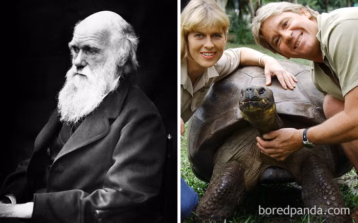 Cụ rùa Harriet được xem là một trong 3 con rùa do nhà bác học danh tiếng Charles Darwin mang về từ quần đảo Galapagos trong chuyến hành trình lịch sử vào năm 1835. Năm 2006, cụ rùa này qua đời tại vườn thú Australia khi 176 tuổi.
