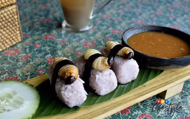 Đuông dừa được nhiều người ở bang Sabah (Malaysia) yêu thích. Loại côn trùng này còn trở thành nguyên liệu phổ biến sau khi chủ nhà hàng D'Place Kinabalu nghĩ ra món sushi đuông dừa.