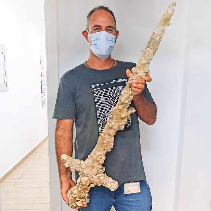 Cụ thể, thợ lặn Katzin đã tìm thấy một thanh kiếm cổ dài 130 cm trong tình trạng khá nguyên vẹn khi đi lặn ở ngoài khơi bờ biển Israel.