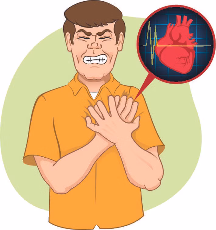 Giảm nguy cơ đau tim: Nhiều nghiên cứu đã kết luận rằng việc ăn hạt lanh liên quan tới việc giảm nguy cơ bị đột quỵ. Ngoài ra, một phân tích chi tiết của 27 nghiên cứu liên quan đến hơn 250.000 người cho thấy ăn hạt lanh làm giảm nguy cơ mắc bệnh tim khoảng 14%.