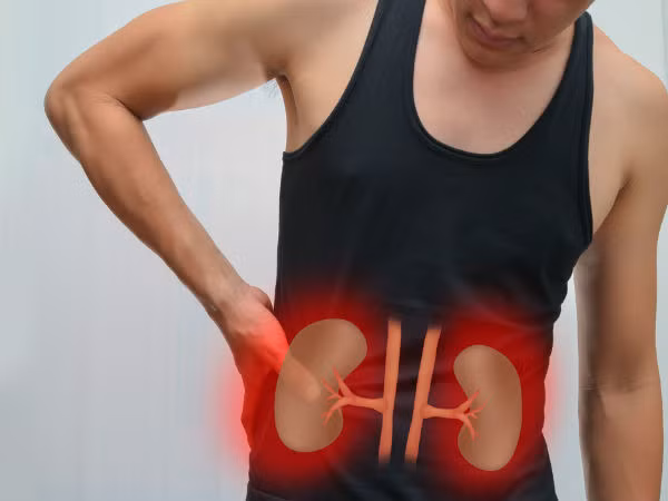 Bảo vệ thận: Nho giúp giảm sự tác động của acid uric nên được đánh giá là có vai trò quan trọng trong việc ngăn ngừa các rối loạn thận.