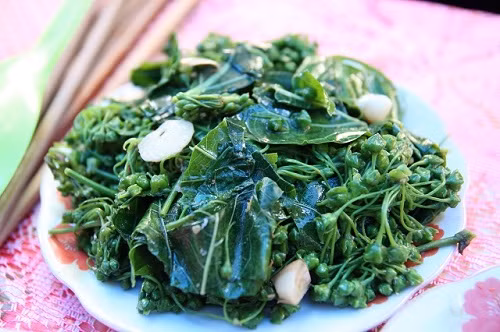 Hoa và ngọn lá ngón ở Mường So (Lai Châu). Cũng gọi là lá ngón nhưng loại lá được người Mường So chế biến thành món ăn này không giống với loại lá ngón gây độc chúng ta thường nghe nói đến. Lá ngón xào tỏi là món đặc sản độc đáo thường được dùng để thiết đón khách quý của người dân nơi đây. Ảnh: Internet.