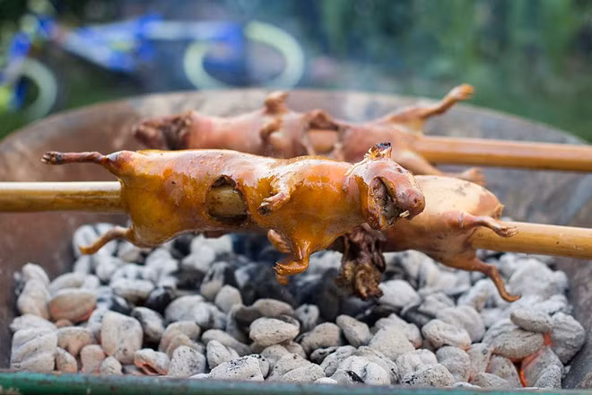 Hai món nổi tiếng nhất làm từ chuột lang ở Peru là cuy chactado, cuy al palo. Cuy chactado là đặc sản vùng Arequipa với thịt ép chặt bằng đá rồi chiên giòn, còn cuy al palo là chuột lang quay trên bếp than.
